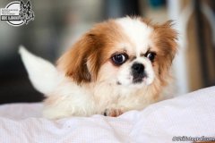phoca_thumb_l_IMG_5193_resize