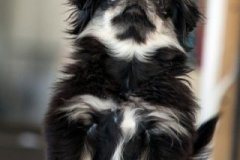 phoca_thumb_l_IMG_5218_resize