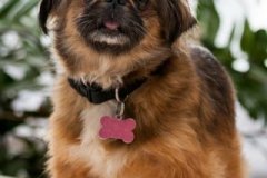 phoca_thumb_l_IMG_5309_resize