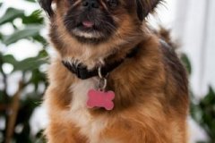 phoca_thumb_l_IMG_5315_resize