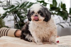 phoca_thumb_l_IMG_5359_resize