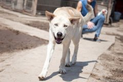 phoca_thumb_l_IMG_7020_resize
