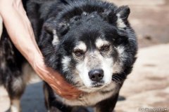 phoca_thumb_l_IMG_7032_resize