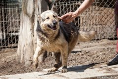 phoca_thumb_l_IMG_7046_resize