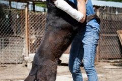 phoca_thumb_l_IMG_7064_resize