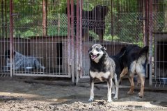 phoca_thumb_l_IMG_7090_resize