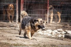 phoca_thumb_l_IMG_7091_resize