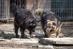 phoca_thumb_l_IMG_7100_resize