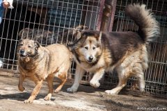 phoca_thumb_l_IMG_7135_resize