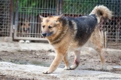 phoca_thumb_l_IMG_7256_resize