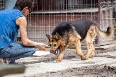 phoca_thumb_l_IMG_7284_resize