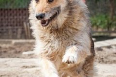 phoca_thumb_l_IMG_7327_resize