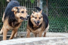 phoca_thumb_l_IMG_7363_resize