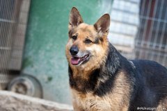 phoca_thumb_l_IMG_7381_resize
