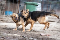 phoca_thumb_l_IMG_7382_resize