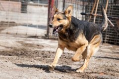 phoca_thumb_l_IMG_7385_resize