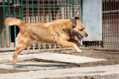 phoca_thumb_l_IMG_7413_resize