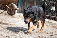 phoca_thumb_l_IMG_7417_resize