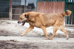 phoca_thumb_l_IMG_7441_resize