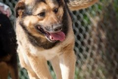 phoca_thumb_l_IMG_7477_resize