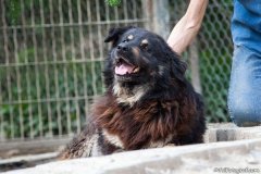 phoca_thumb_l_IMG_7526_resize
