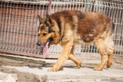 phoca_thumb_l_IMG_7528_resize