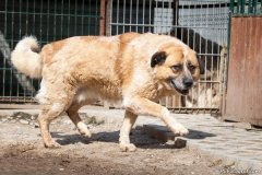 phoca_thumb_l_IMG_7535_resize