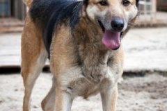 phoca_thumb_l_IMG_7563_resize