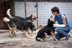 phoca_thumb_l_IMG_7571_resize