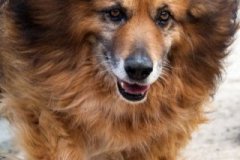 phoca_thumb_l_IMG_7600_resize