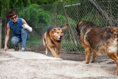 phoca_thumb_l_IMG_7602_resize