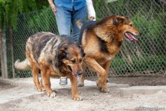 phoca_thumb_l_IMG_7614_resize