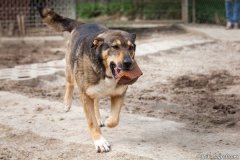 phoca_thumb_l_IMG_7641_resize