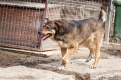 phoca_thumb_l_IMG_7651_resize