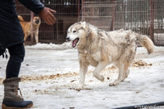 phoca_thumb_l_IMG_5925_resize
