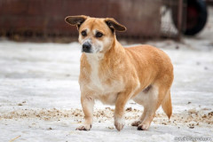 phoca_thumb_l_IMG_5941_resize