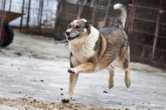 phoca_thumb_l_IMG_5963_resize