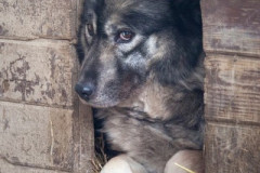 phoca_thumb_l_IMG_5967_resize