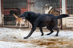 phoca_thumb_l_IMG_6029_resize