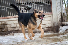 phoca_thumb_l_IMG_6032_resize