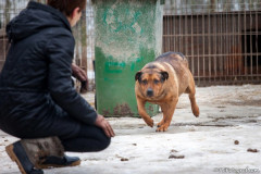 phoca_thumb_l_IMG_6044_resize