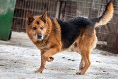 phoca_thumb_l_IMG_6078_resize