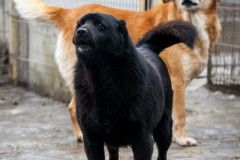 phoca_thumb_l_IMG_6099_resize