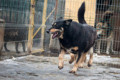 phoca_thumb_l_IMG_6126_resize