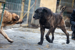 phoca_thumb_l_IMG_6130_resize