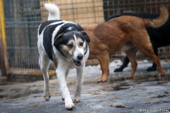 phoca_thumb_l_IMG_6145_resize