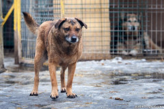 phoca_thumb_l_IMG_6148_resize