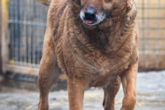 phoca_thumb_l_IMG_6149_resize