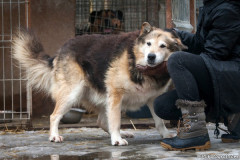 phoca_thumb_l_IMG_6162_resize