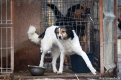 phoca_thumb_l_IMG_6165_resize